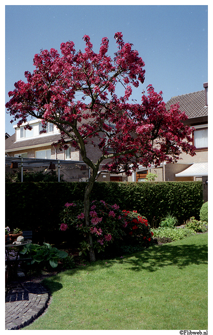 L3120401.jpg