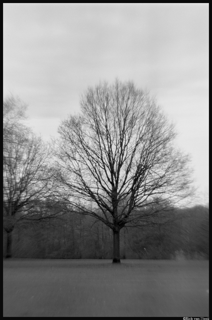 Liesegang02.jpg