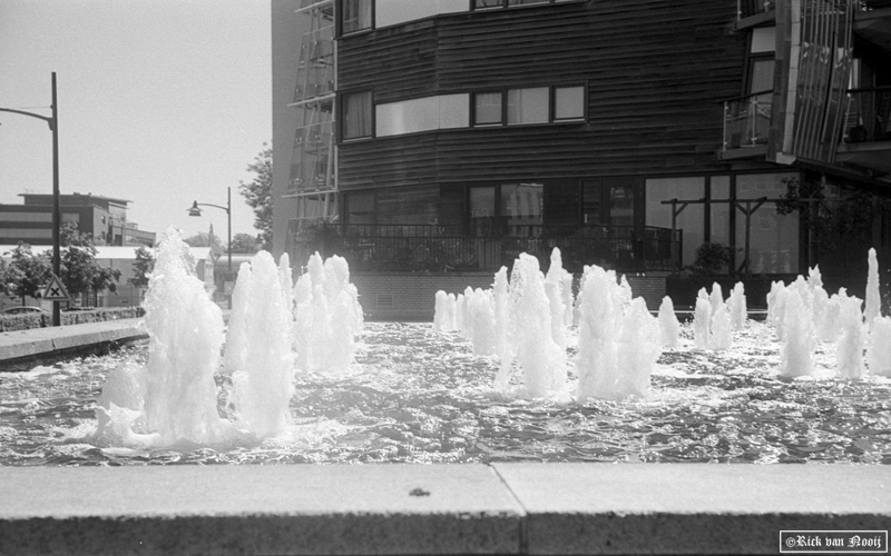 Leica IIIc, Sonnar, Y2 filter, Kodak Double-X
