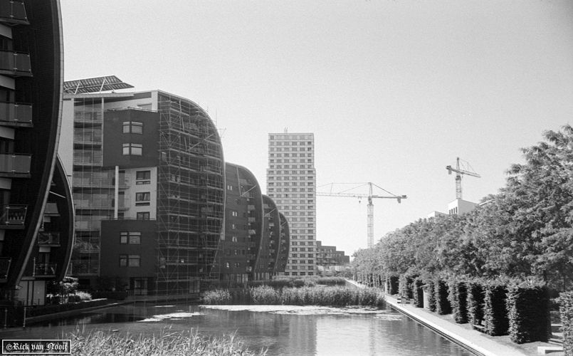 Leica IIIc, Sonnar, Y2 filter, Kodak Double-X
