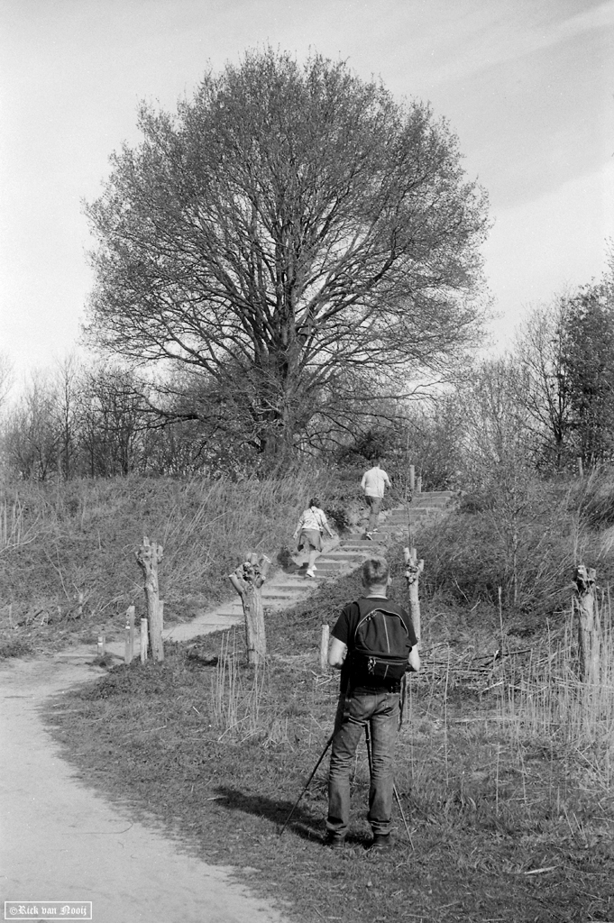 Leica IIIc, 5cm f/2.5 Hektor, Fomapan 100
