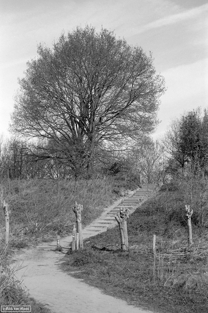 Leica IIIc, 5cm f/2.5 Hektor, Fomapan 100
