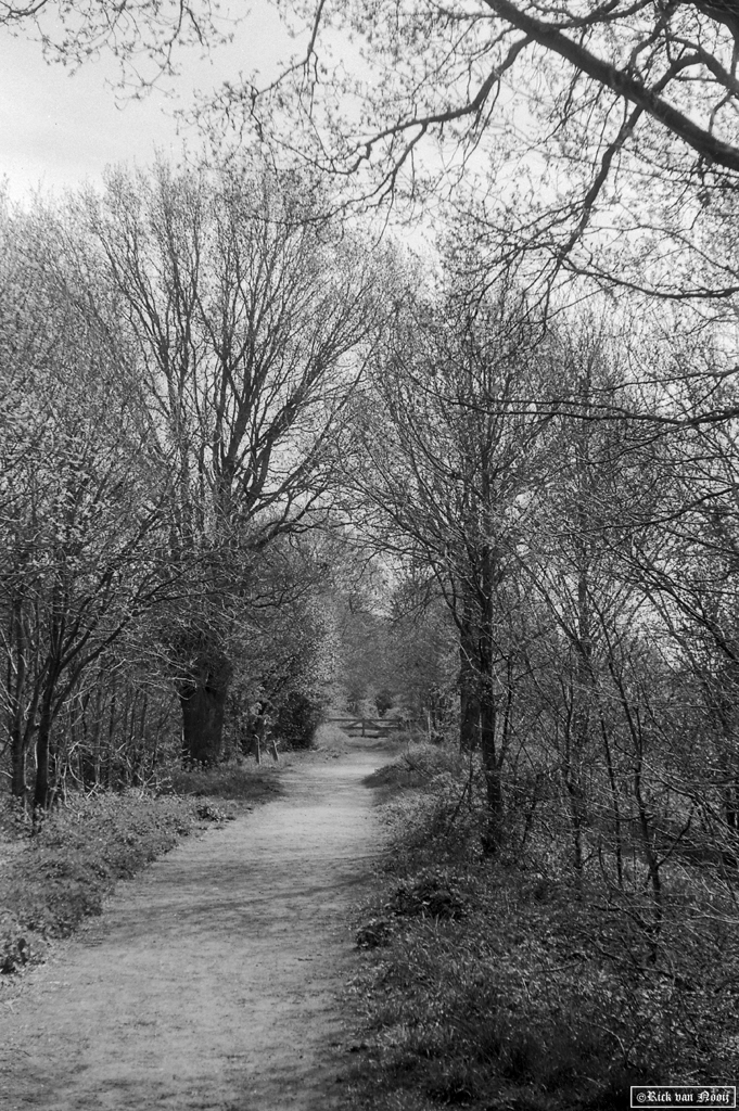 Leica IIIc, 5cm f/2.5 Hektor, Fomapan 100
