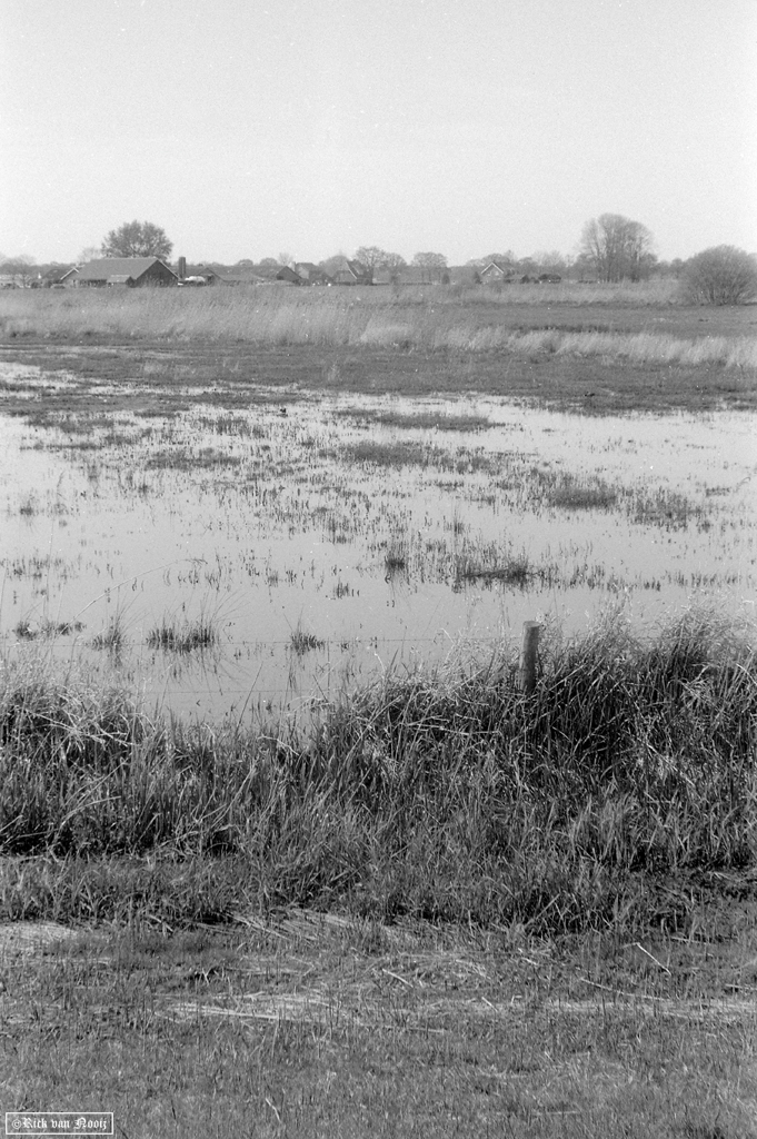 Leica IIIc, 7.3cm f/1.9 Hektor, Fomapan 100
