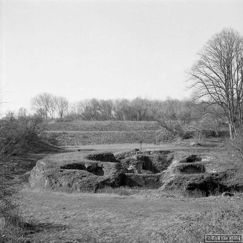 Fomapan 100
