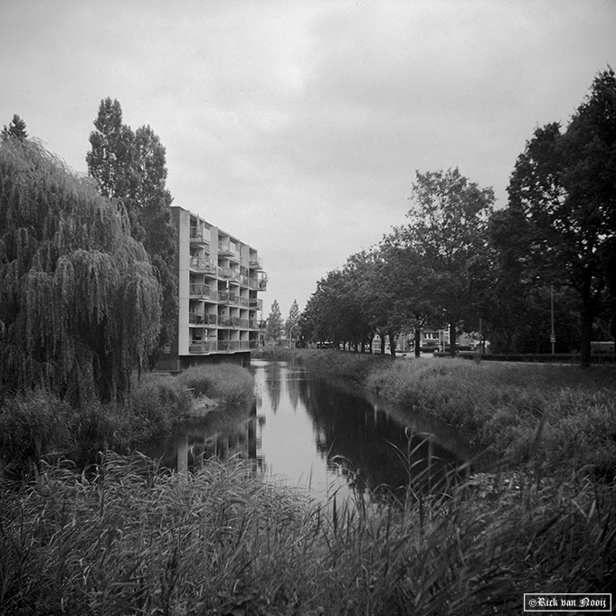 Voigtländer Bessa 66 Deluxe, 75/3.5, Fomapan 100
