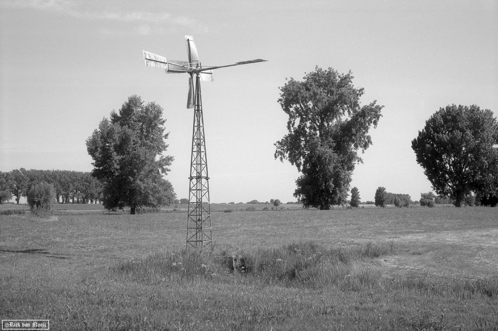 Jupiter-8, Rollei Retro 80s
