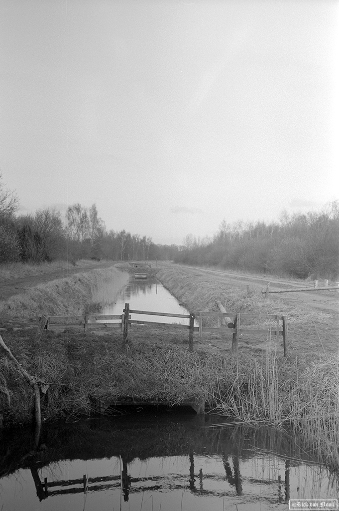 Sonnar 50/1.5  Fomapan 100
