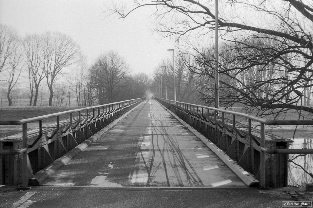 50mm f/2.9 Trioplan, Fomapan 100
