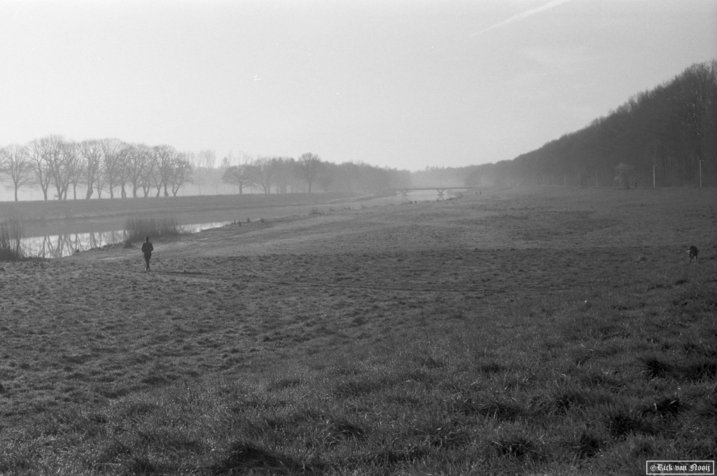 50mm f/2.9 Trioplan, Fomapan 100
