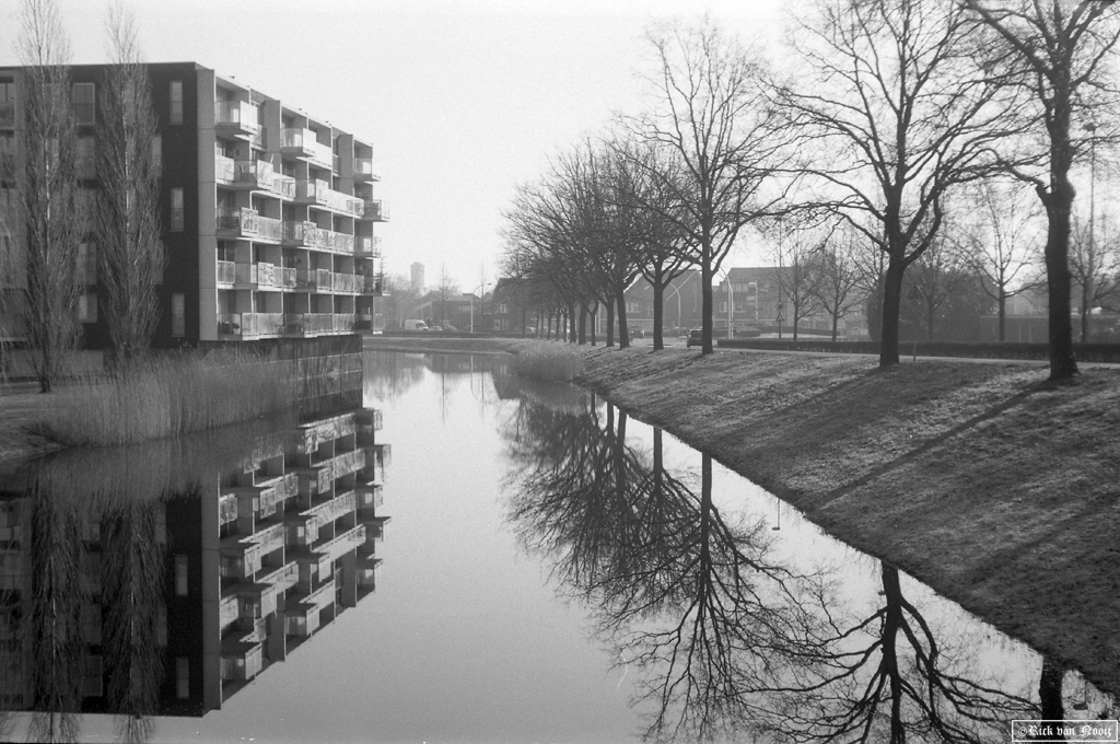 50mm f/2.9 Trioplan, Fomapan 100
