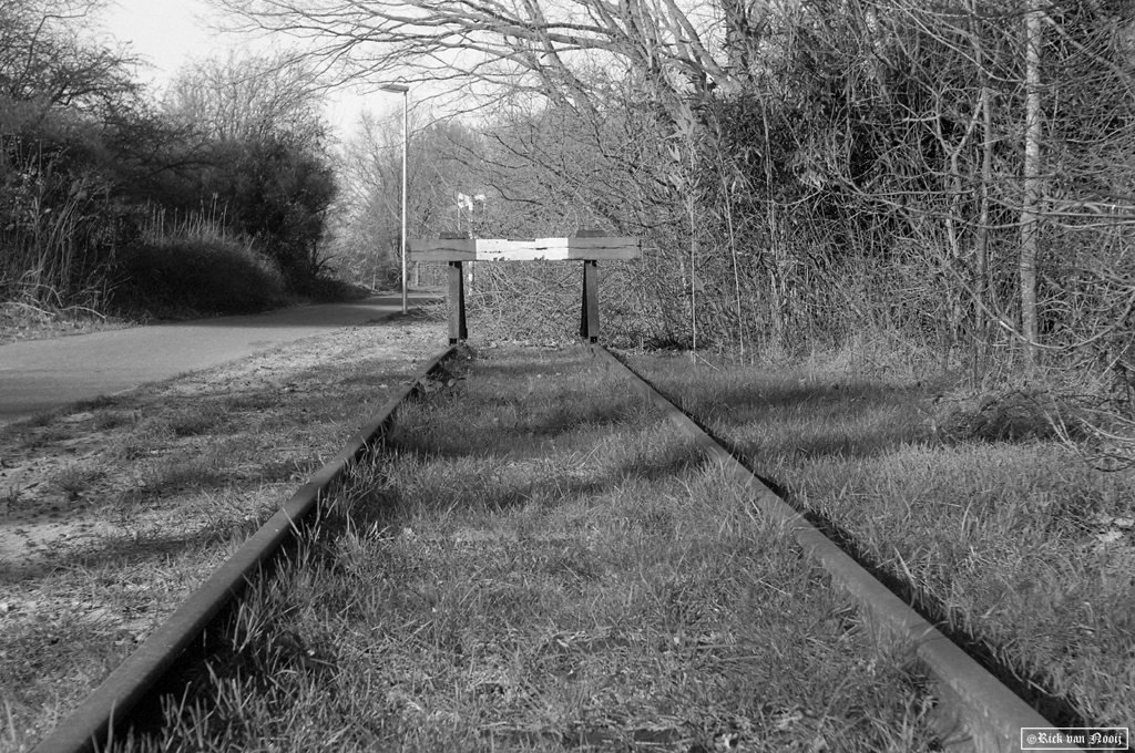 50mm f/2.9 Trioplan, Fomapan 100
