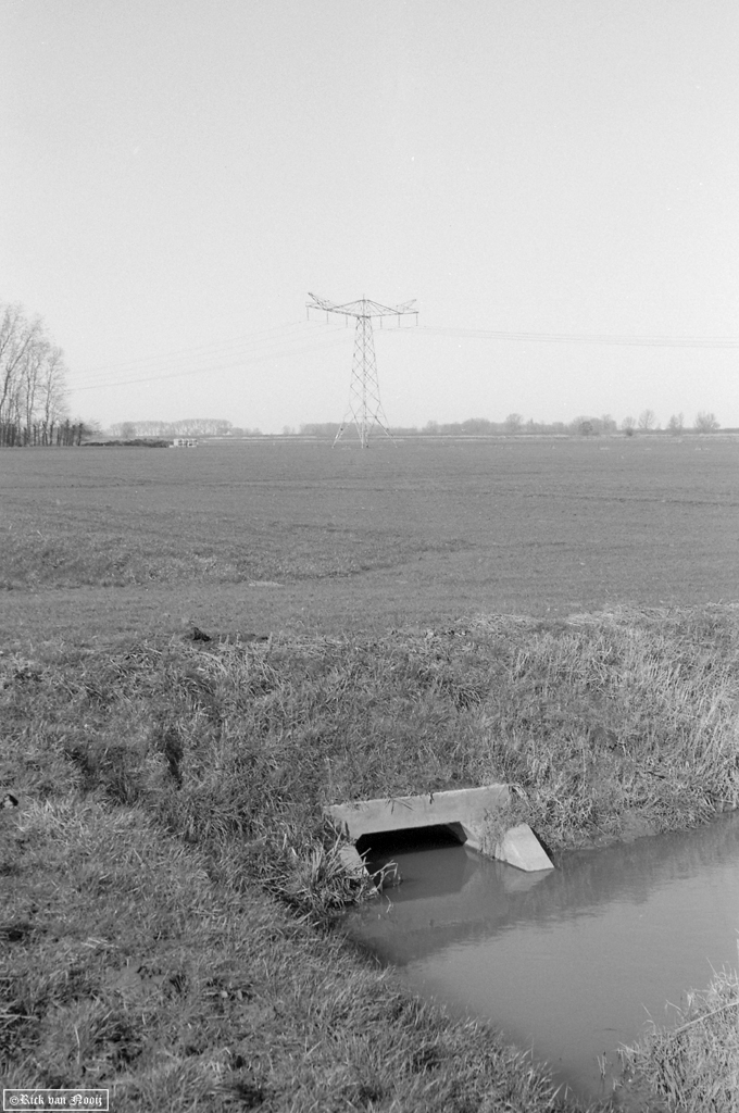 50mm f/2.9 Trioplan, Fomapan 100
