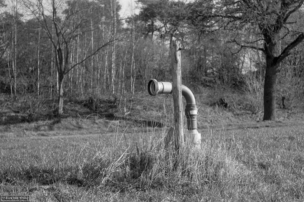 50mm f/2.9 Trioplan, Fomapan 100
