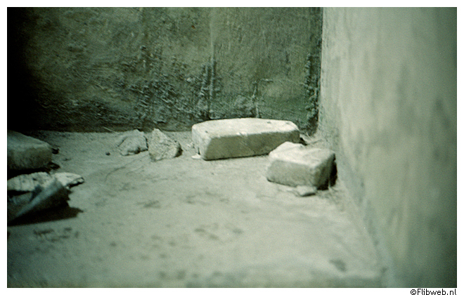 FE130342.jpg