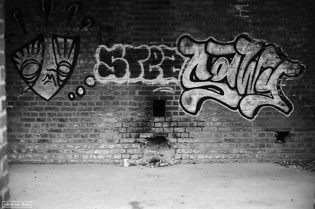 Leica M3, 7Artisan 50/1.1, Rollei Retro 80s
