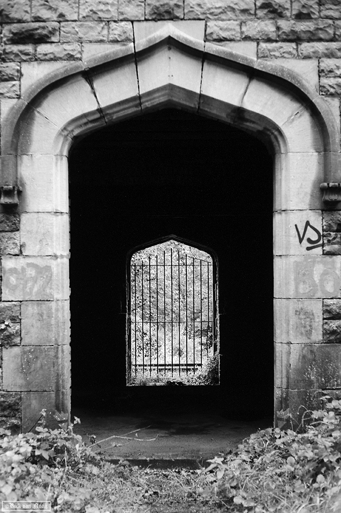 Leica M3, 7Artisan 50/1.1, Rollei Retro 80s
