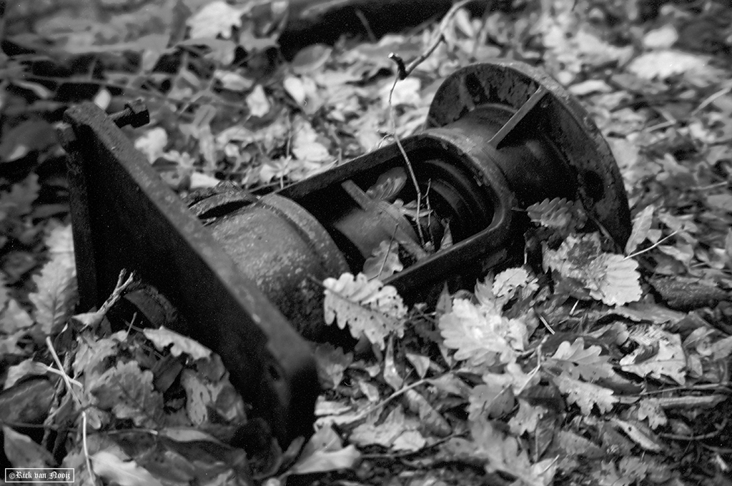 Leica M3, 7Artisan 50/1.1, Rollei Retro 80s
