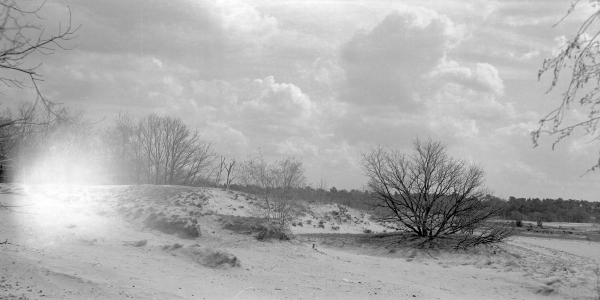 Horseman 6x12 back test, Rollei Retro 80S
