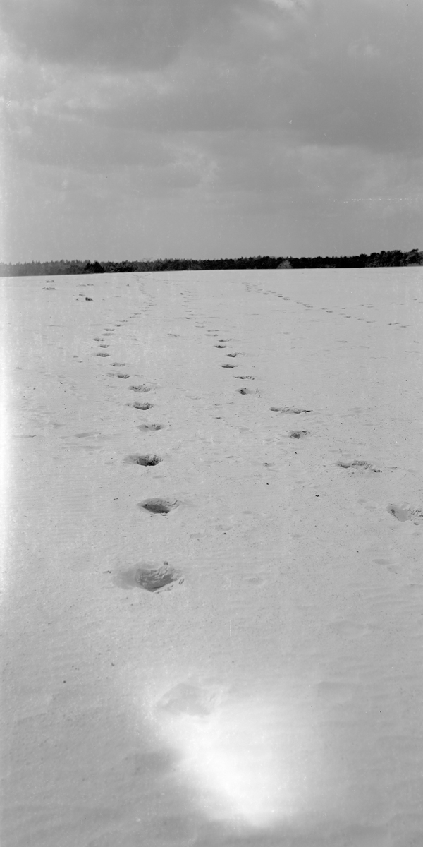 Horseman 6x12 back test, Rollei Retro 80S
