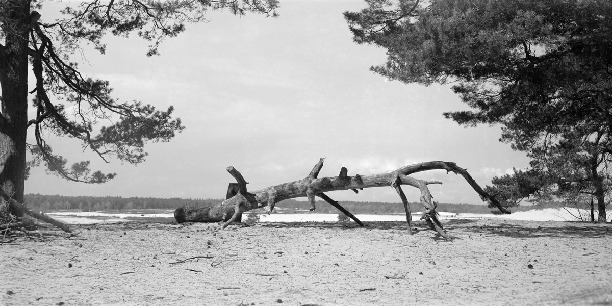 Horseman 6x12 back test, Rollei Retro 80S
