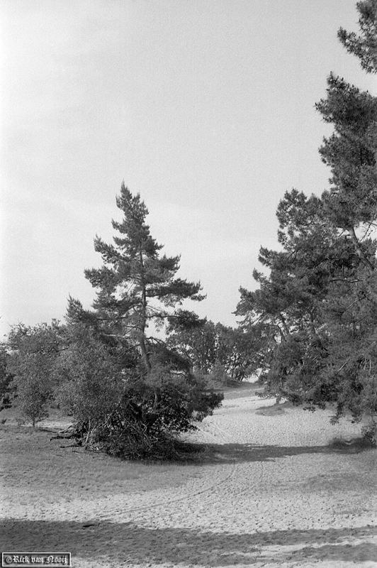 9cm f/4 Elmar, Orange Filter, Agfa APX100
