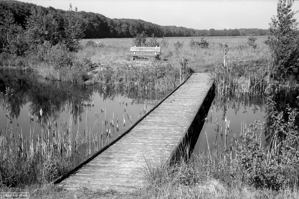 Summitar, Rollei Retro 80S (HC-110, E, 10min, 20C)
