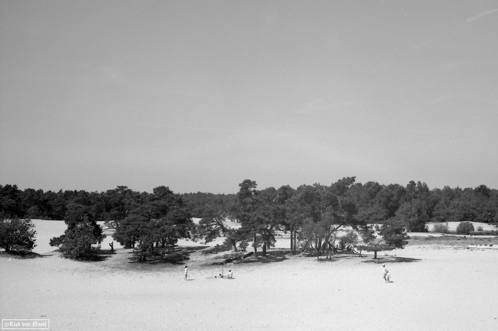 Summitar, Rollei Retro 80S (HC-110, E, 10min, 20C)
