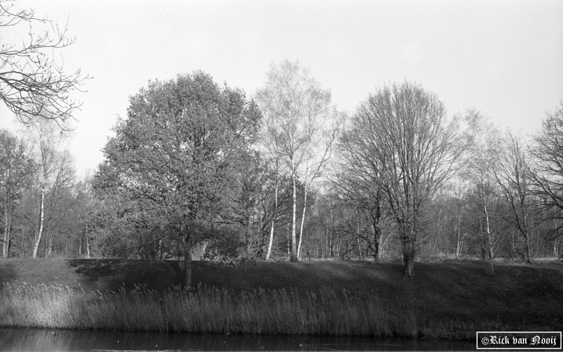 5cm f/3.5 Elmar-M, Fomapan 100
