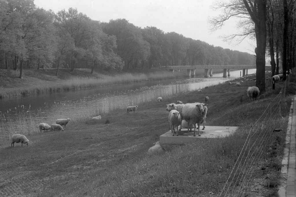 Test of Jon's Leica III, 5cm Elmar, Fomapan 100
