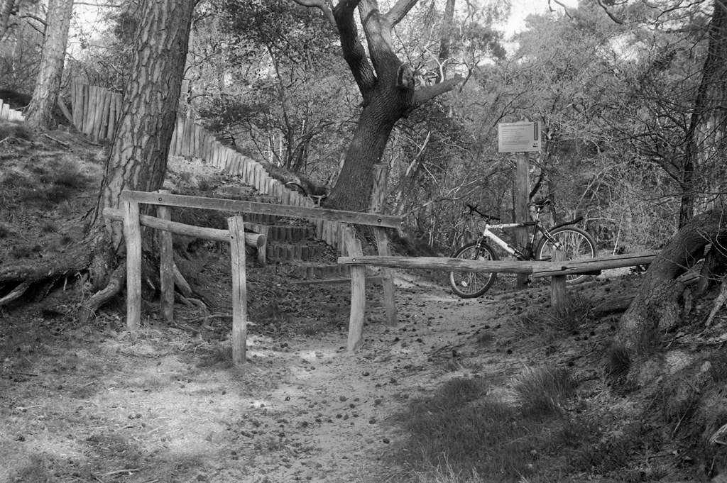 Test of Jon's Leica III, 5cm Elmar, Fomapan 100
