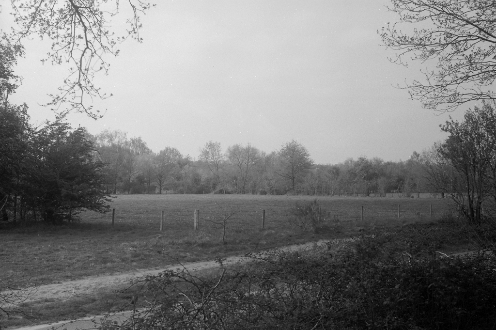 Test of Jon's Leica III, 5cm Elmar, Fomapan 100
