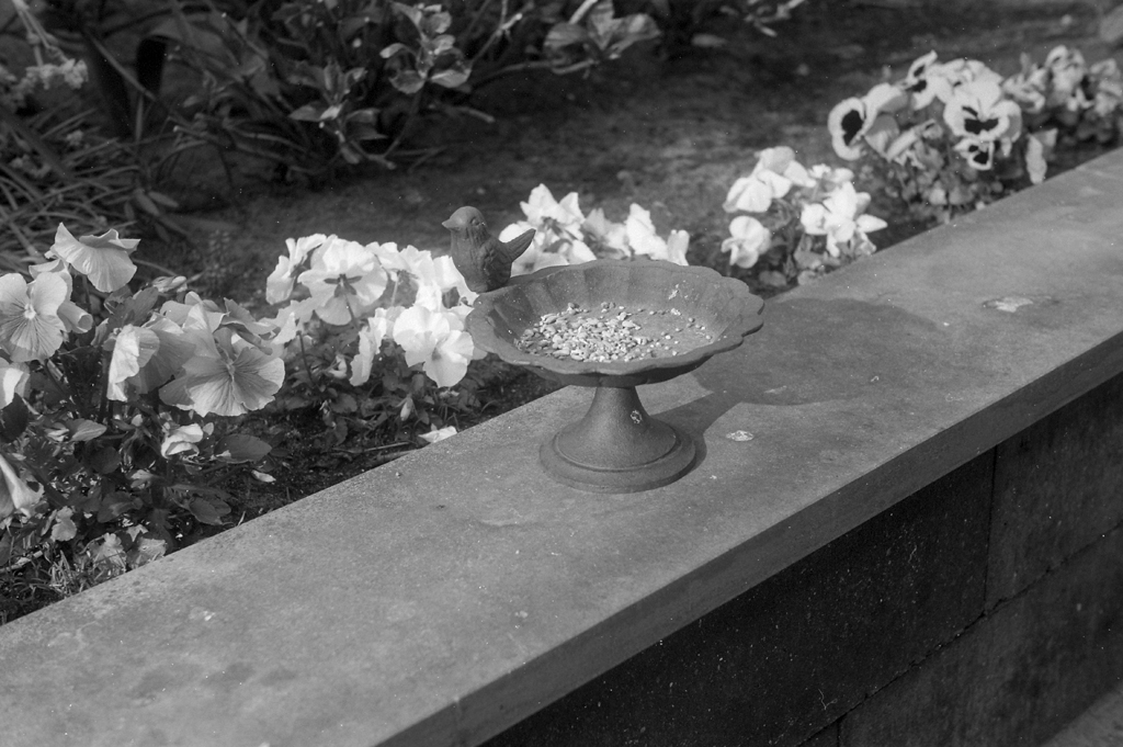 Test of Jon's Leica III, 5cm Elmar, Fomapan 100
