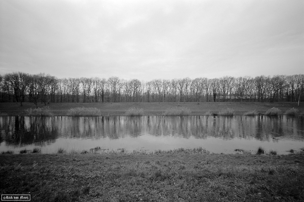 Voigtlander 15mm f/4.5 Super Wide-Heliar, Fomapan 100
