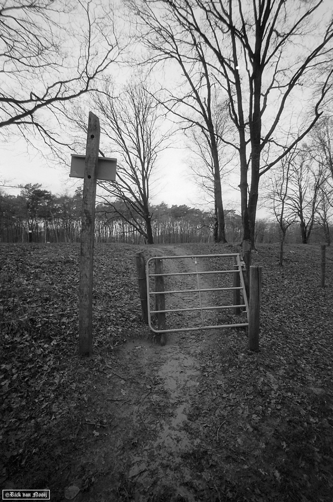 Voigtlander 15mm f/4.5 Super Wide-Heliar, Fomapan 100
