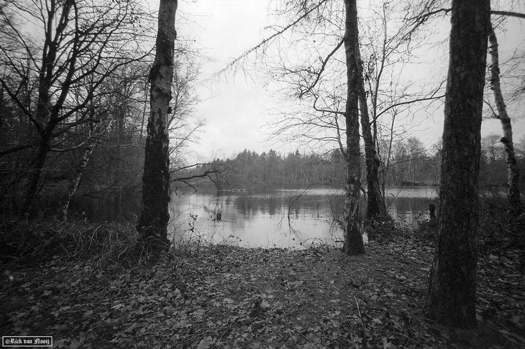 Voigtlander 15mm f/4.5 Super Wide-Heliar, Fomapan 100
