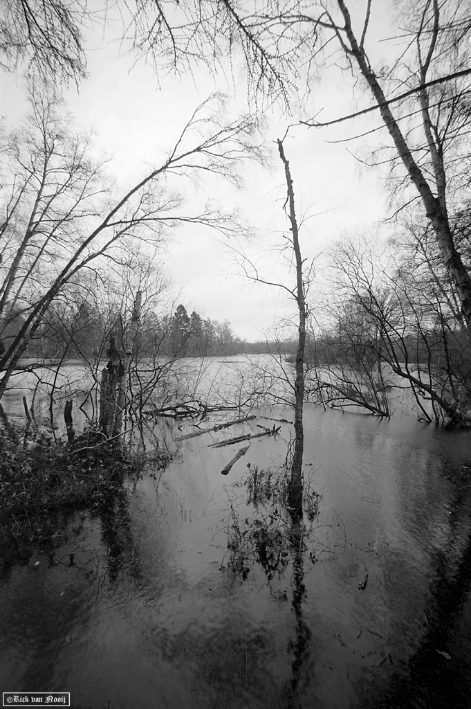 Voigtlander 15mm f/4.5 Super Wide-Heliar, Fomapan 100
