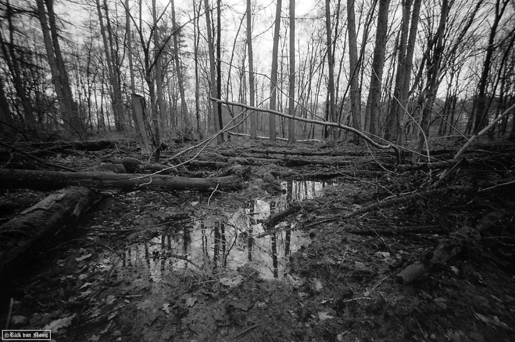 Voigtlander 15mm f/4.5 Super Wide-Heliar, Fomapan 100
