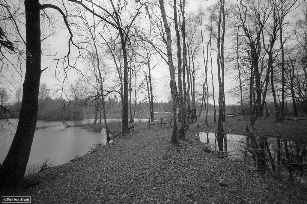 Voigtlander 15mm f/4.5 Super Wide-Heliar, Fomapan 100
