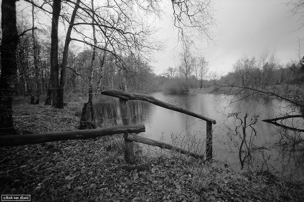 Voigtlander 15mm f/4.5 Super Wide-Heliar, Fomapan 100
