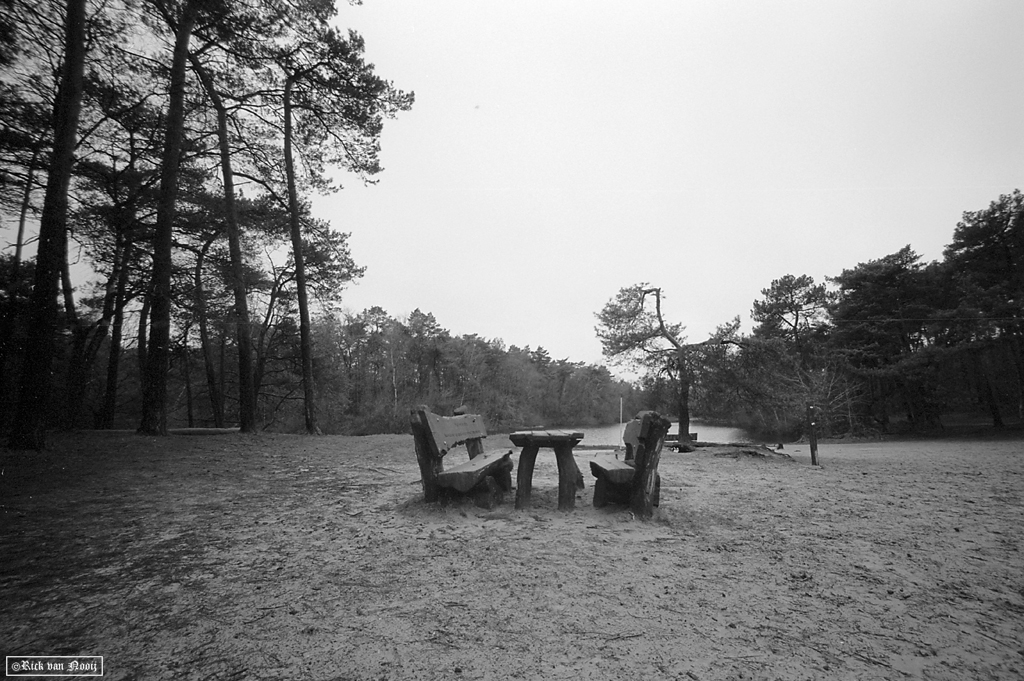 Voigtlander 15mm f/4.5 Super Wide-Heliar, Fomapan 100
