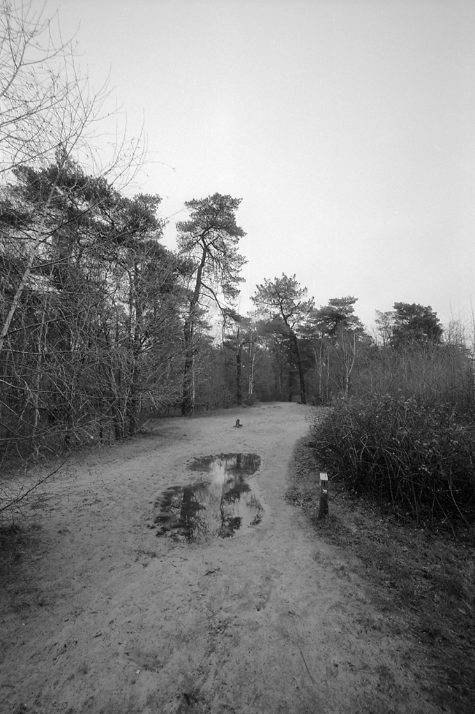 Voigtlander 15mm f/4.5 Super Wide-Heliar, Fomapan 100
