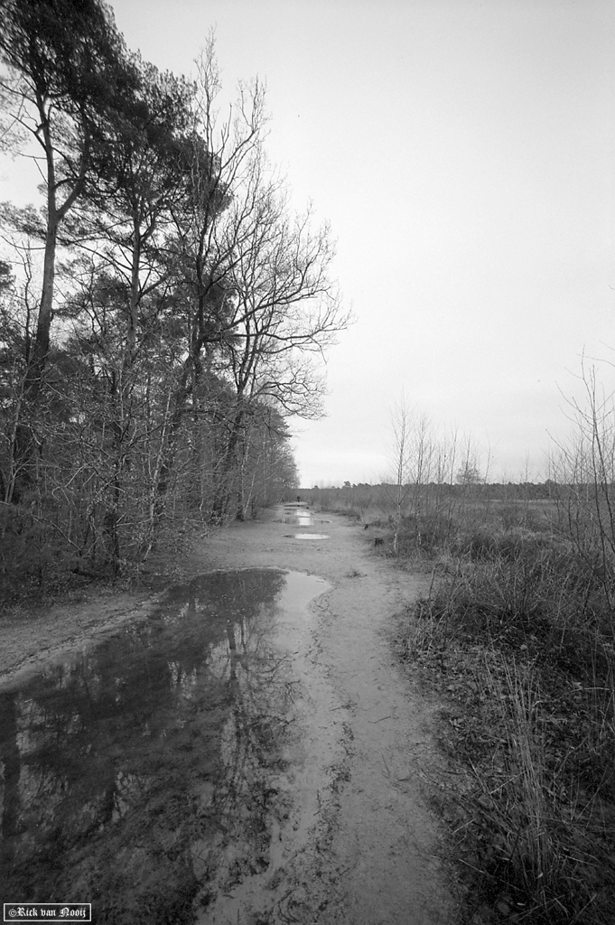 Voigtlander 15mm f/4.5 Super Wide-Heliar, Fomapan 100
