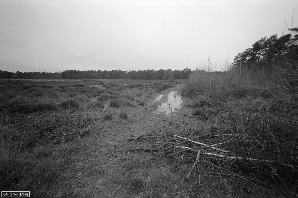 Voigtlander 15mm f/4.5 Super Wide-Heliar, Fomapan 100
