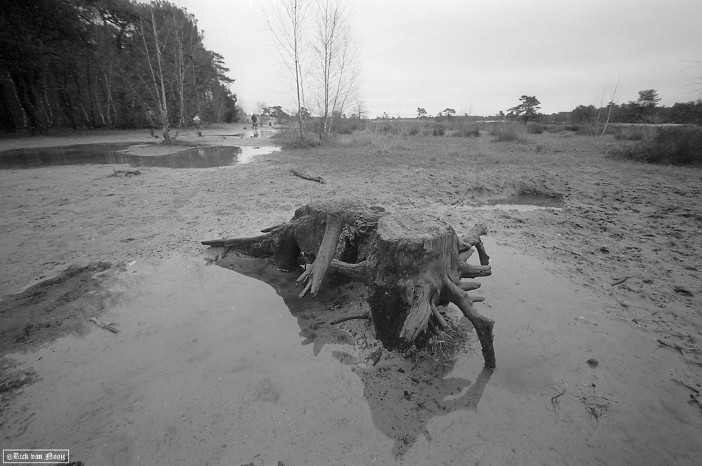 Voigtlander 15mm f/4.5 Super Wide-Heliar, Fomapan 100
