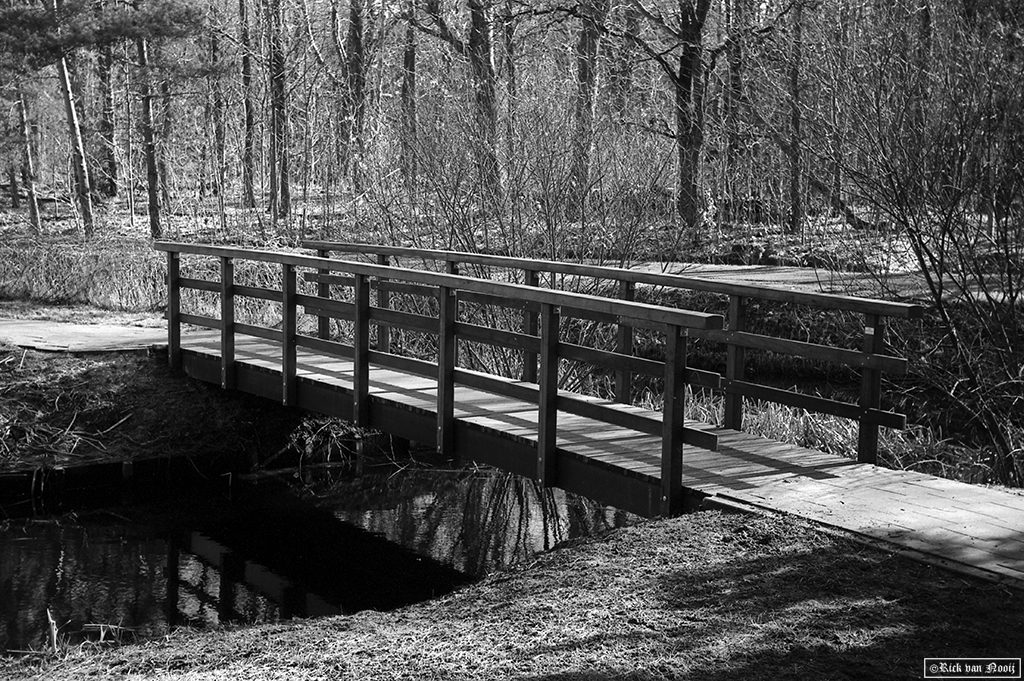 Leica II, 50/1.5 Sonnar, Rollei Retro 80s
