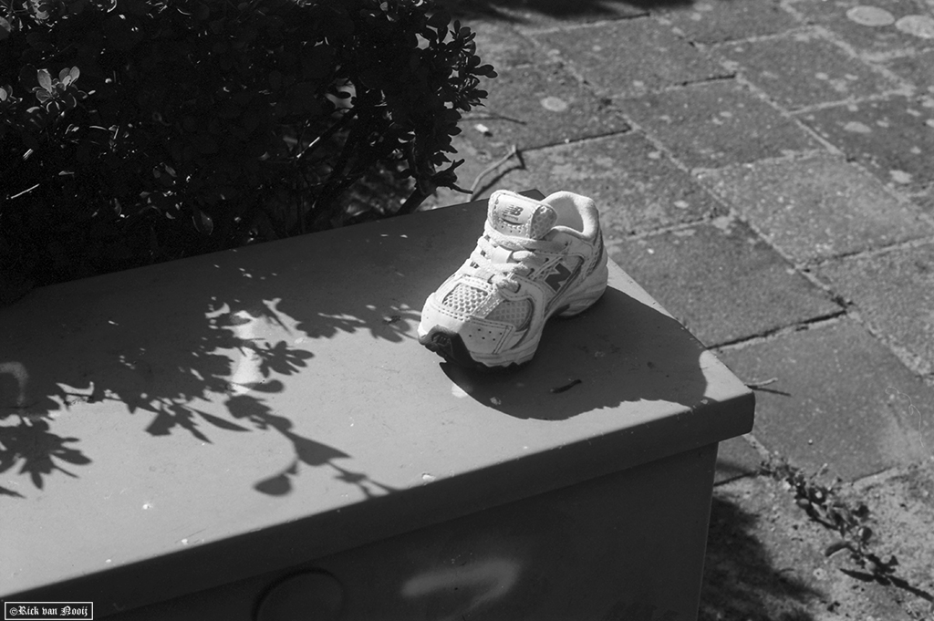 50/2 Summicron, Rollei Retro 80s
