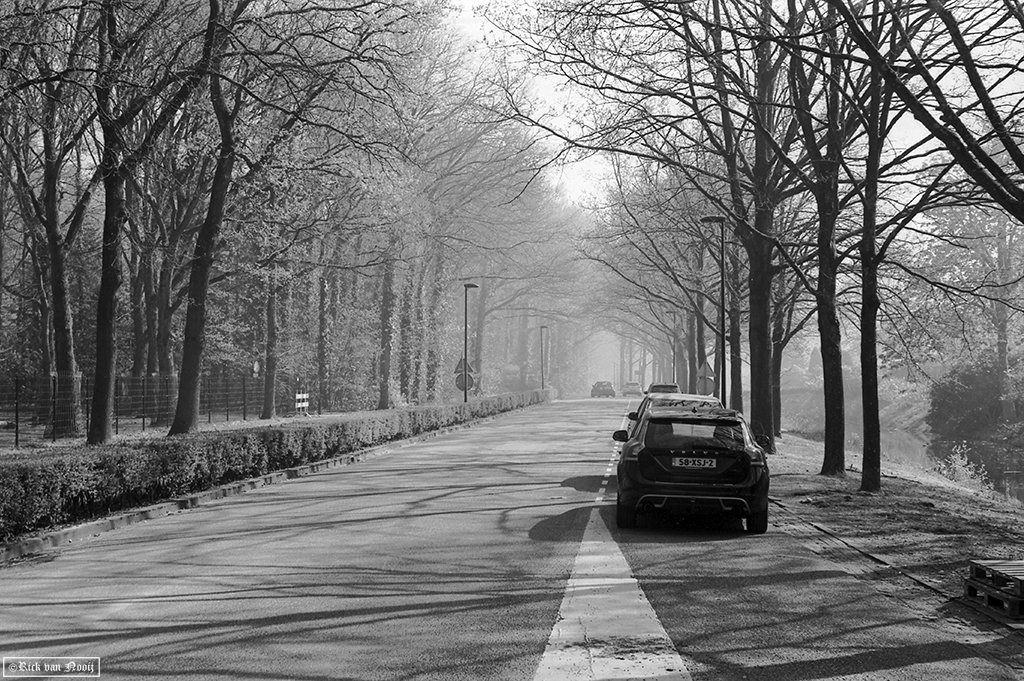 50/2 Summicron, Rollei Retro 80s
