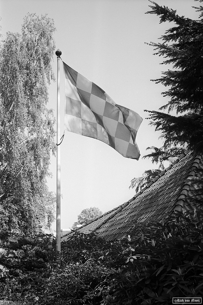 50/2 Summicron, Rollei Retro 80s
