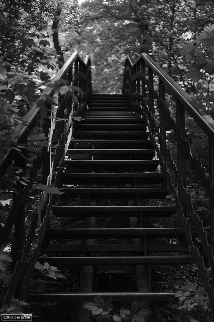 50/2 Summicron, Rollei Retro 80s
